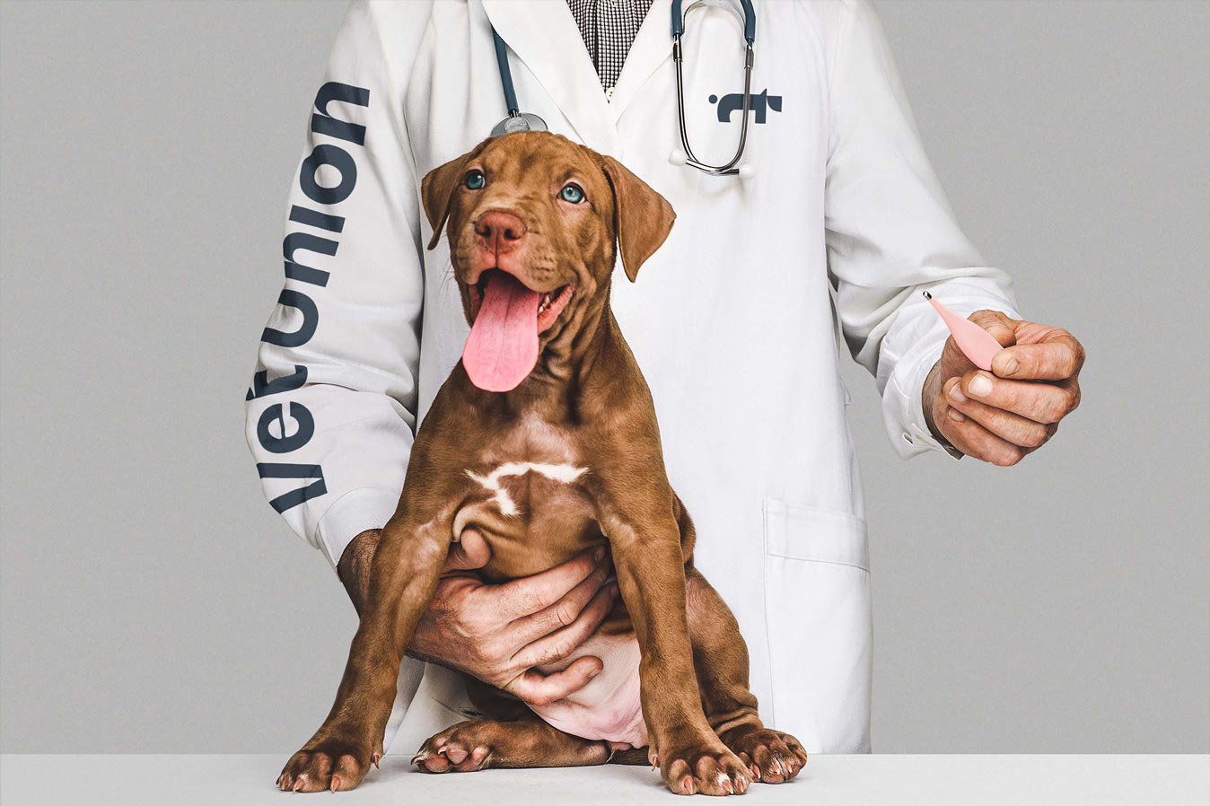 Vet Union